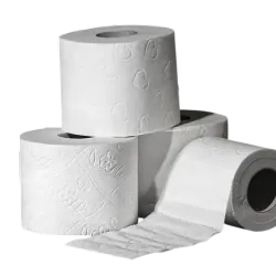 PAPEL SANITARIO (4 ROLLOS)