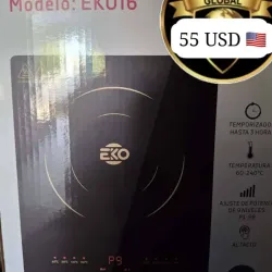 Cocina de inducción 