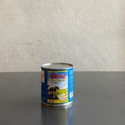 Leche Codensada Rayan 390g