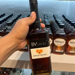 Licor BV Apricot Brandy