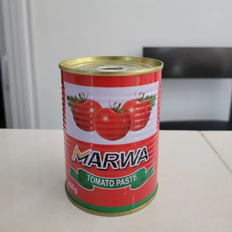 Pasta de tomate (400g)