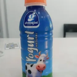 Yogurt Natural