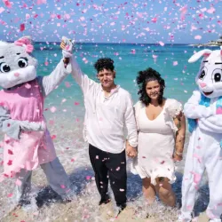 Revelación de género