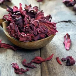Flor de Jamaica
