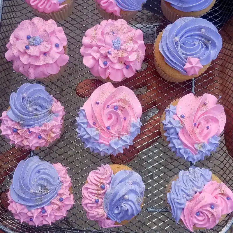  Cupcakes 
