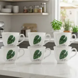 Set de 6 tazas para café