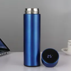 Termo digital