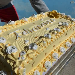 Cake de 45 cm de largo