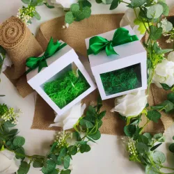 Cajas Hera (12 unidades)