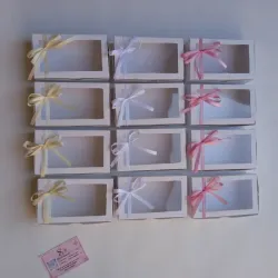 Cajas Artemisa (12 unidades)
