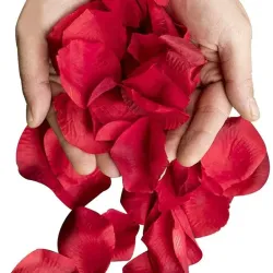 Pétalos de rosa rojos