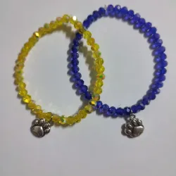 Pulcera de shawrosky y dije de perrito