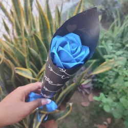 Susurro Rosa