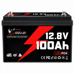 IDZLLDI LiFePO4 de 12 V 100 Ah