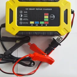 Cargador Inteligente de Bateria 12 vol 