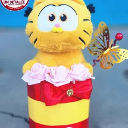 Peluche con caja sorpresa