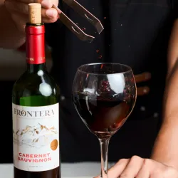 Copa de Vino Tinto Frontera