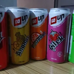 Refresco GO UP V/Sabores