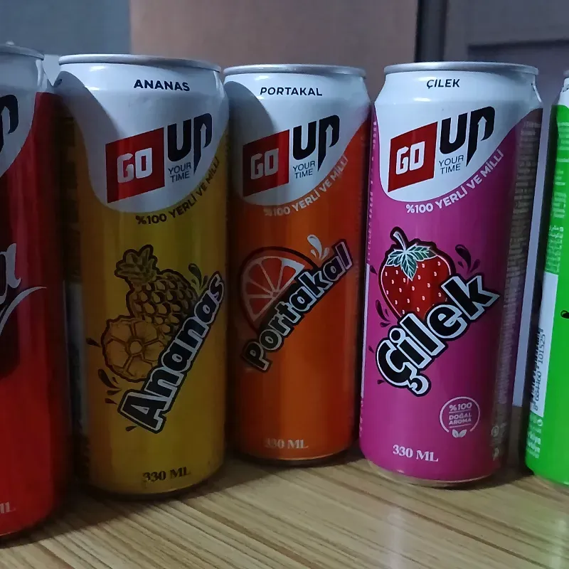 Refresco GO UP V/Sabores