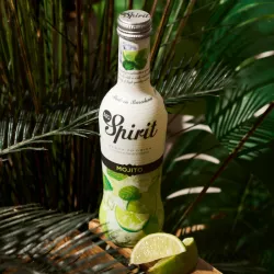 Spirit