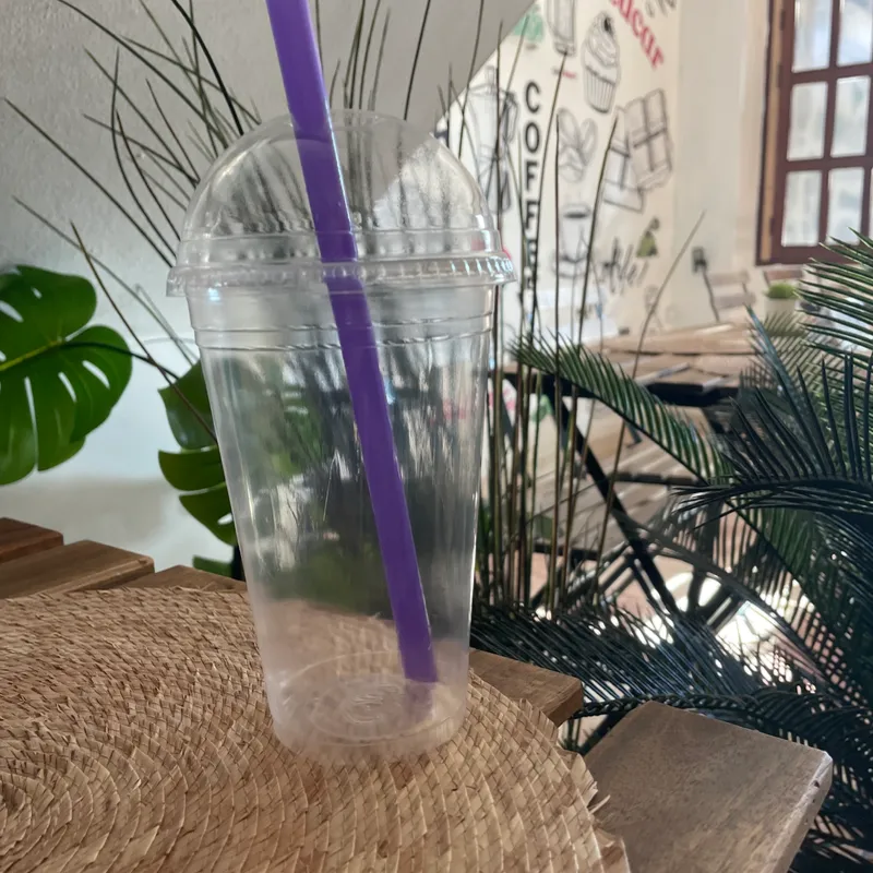 Vasos Plásticos de 16 onz