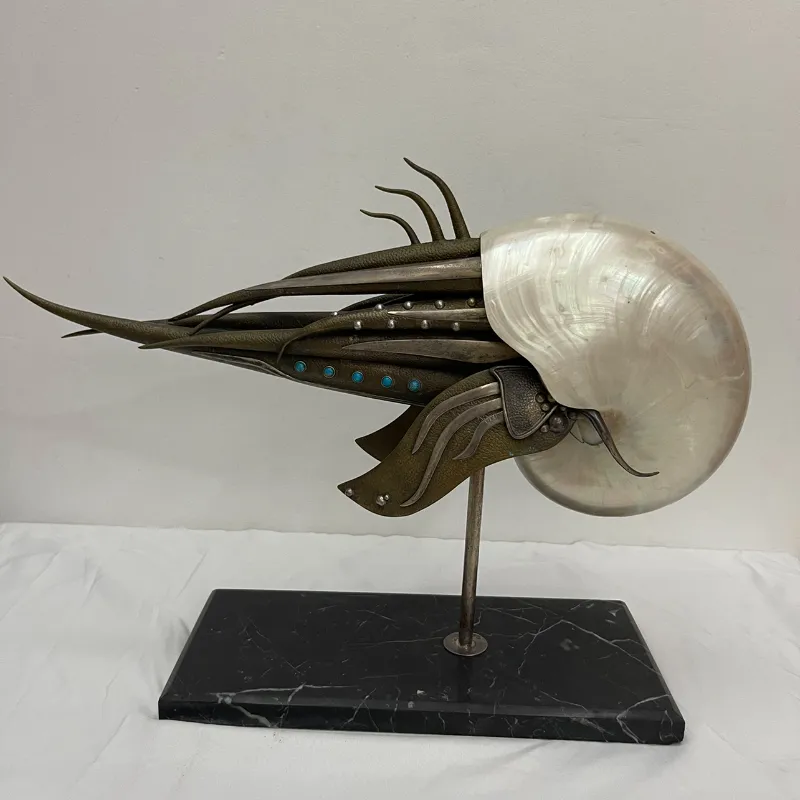 Nautilus rafart