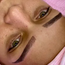 Cejas Hibridas HD (Técnica Combinada)