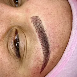 ✨Bold Hybrid Brows✨