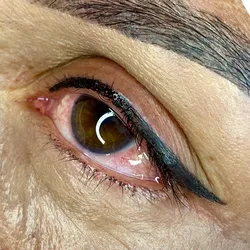 ✨Cat Eye Sutil✨