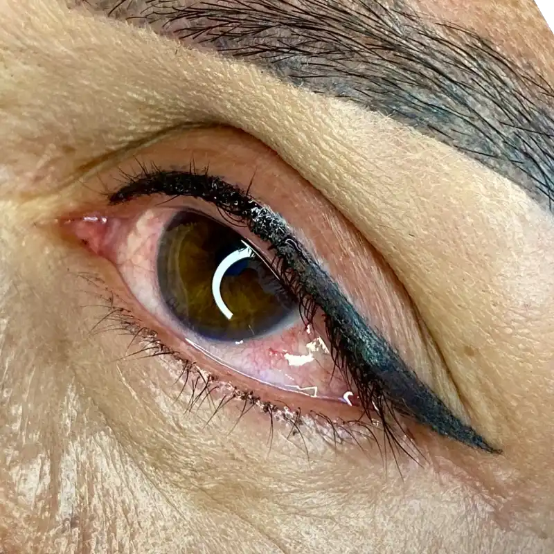 ✨Cat Eye Sutil✨