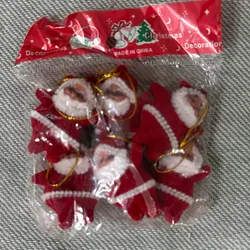Bolsa de Santa 