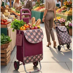 Carrito para mandados