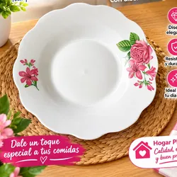 Platos de cerámica 