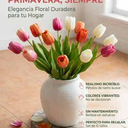 Tulipanes