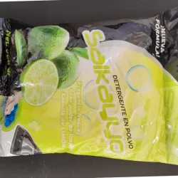 Detergente en Polvo 500g