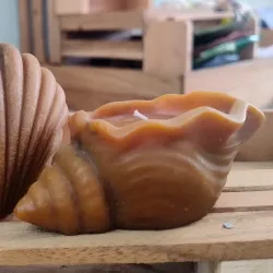 Caracol