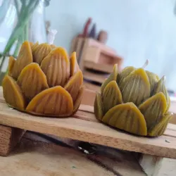 Flor de Loto