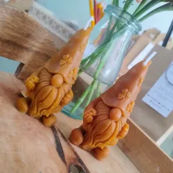 Gnomos