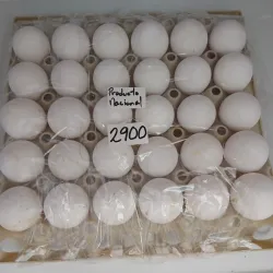Huevos