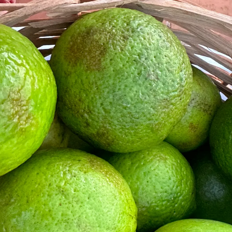 Limón francés Lb