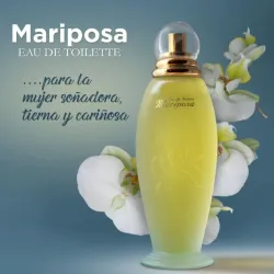 Mariposa Tradicional