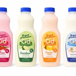 Yogurt probiótico 1L