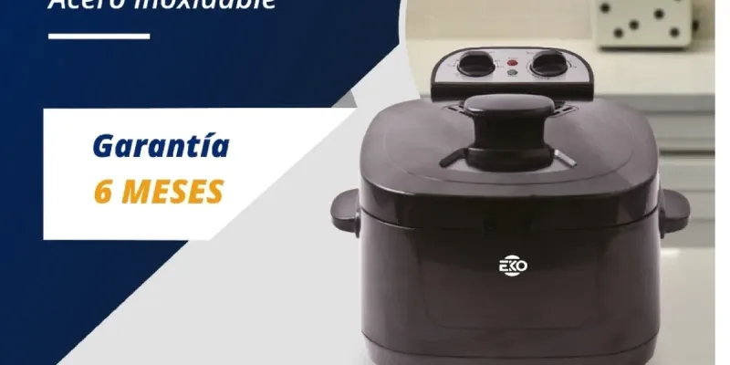 Freidora Electrica 2.5l