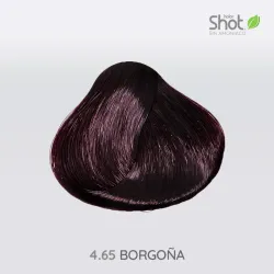 (4.65) Borgoña