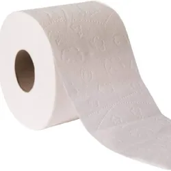 Rollo de Papel Sanitario