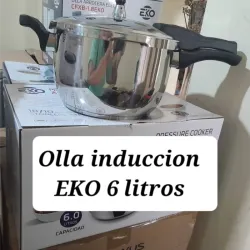 Olla de presión de inducción 