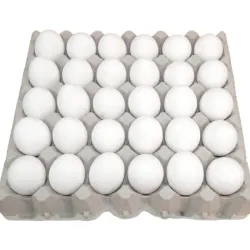 Cartón de huevo 🥚(30 u)