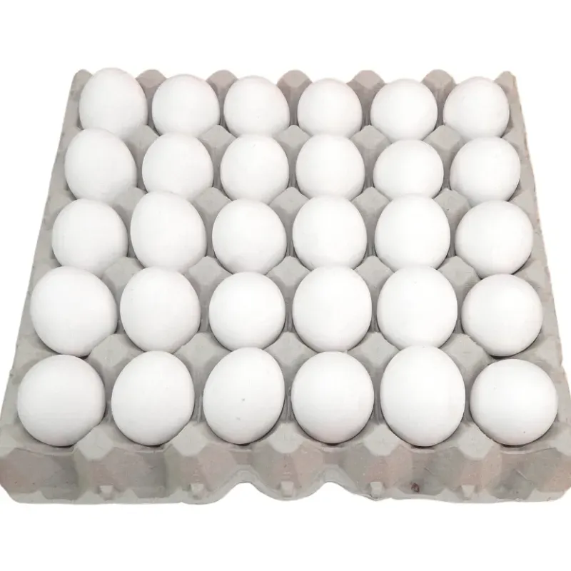 Cartón de huevo 🥚(30 u)