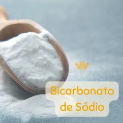 Bicarbonato de sodio