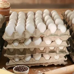 Huevos
